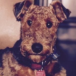 Meet your Posher, Sabrina